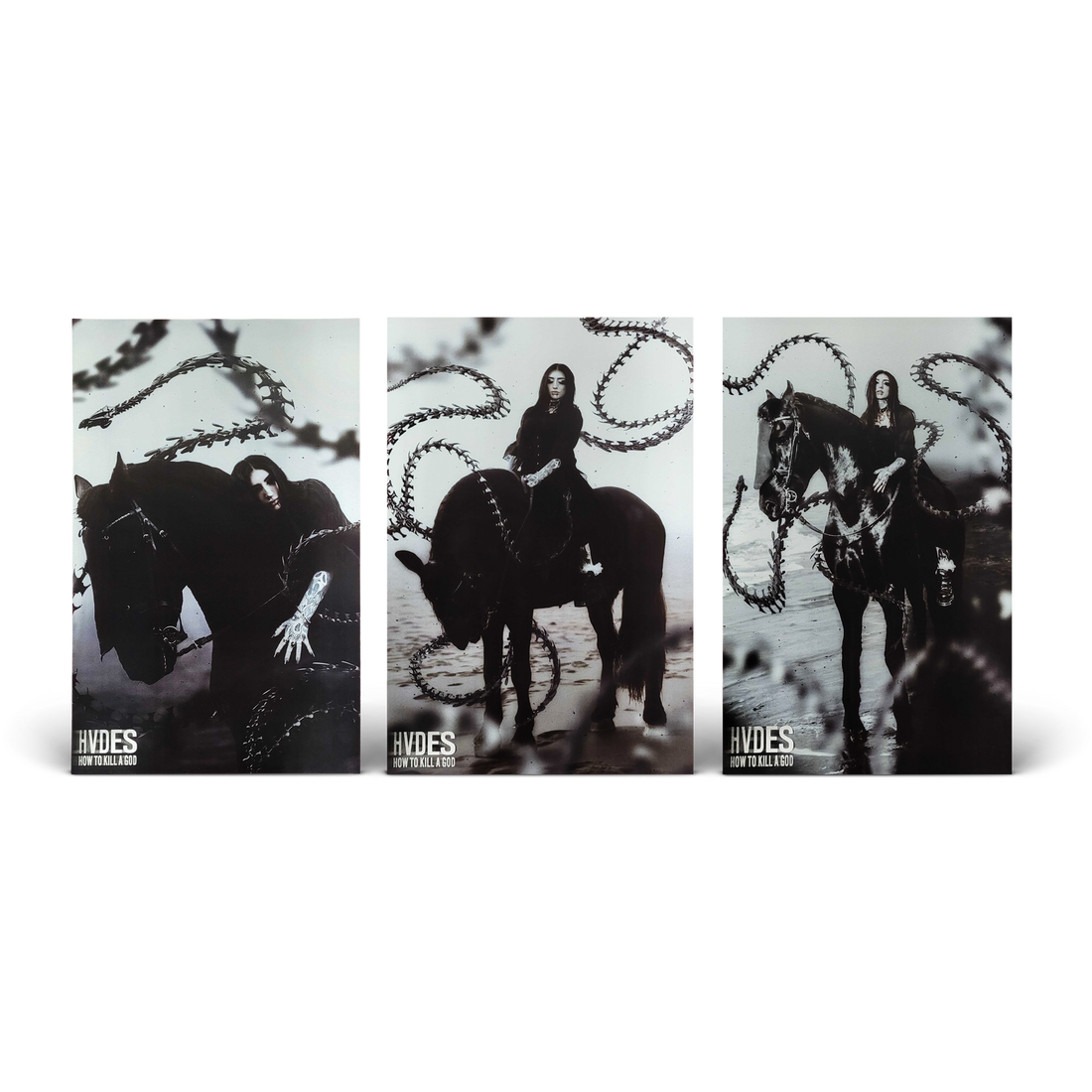 HVDES - Signed Poster Bundle