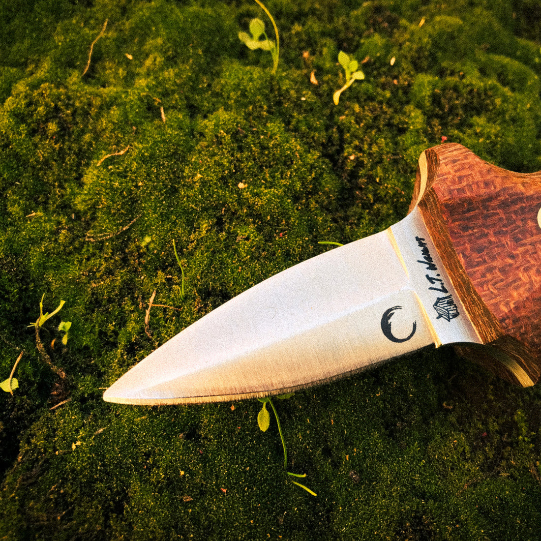 Chef Paul's Wild Harvest Oyster Knife