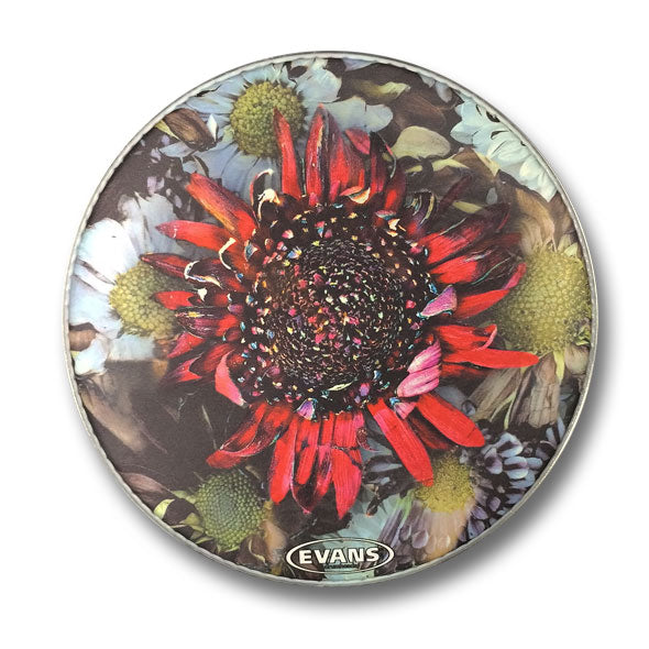 PROTEST THE HERO - 12 Inch Kezia Snare Skin