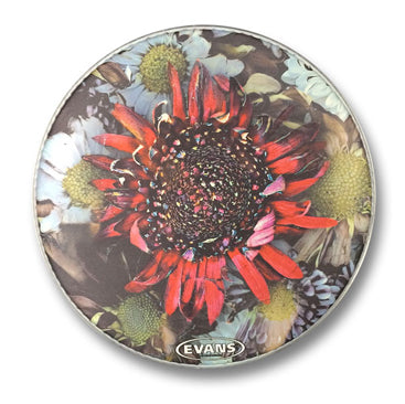 PROTEST THE HERO - 12 Inch Kezia Snare Skin