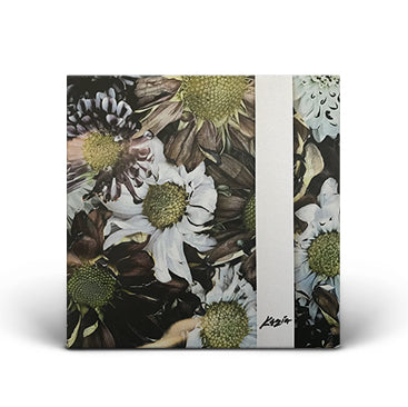 Protest the Hero - Kezia X Boxset - Limited Collectors Edition