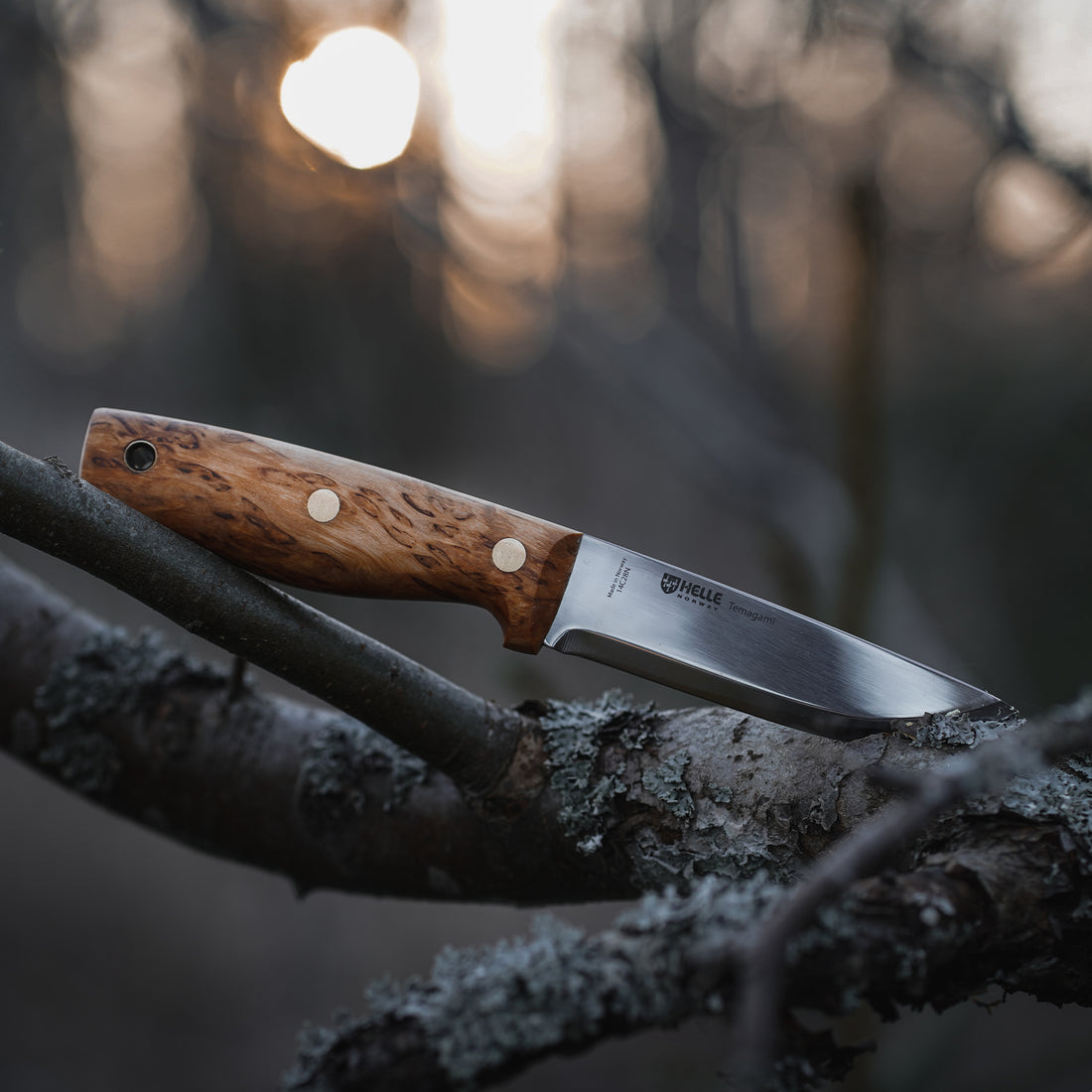 Survivorman - Temagami 14C28N - Design by Les Stroud