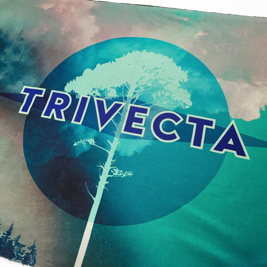 Trivecta - Elevation Pashmina