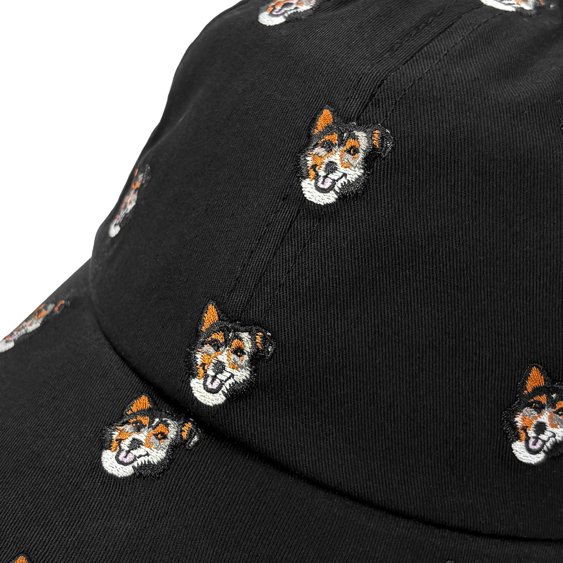 DISTINCT MOTIVE - REX DAD HAT