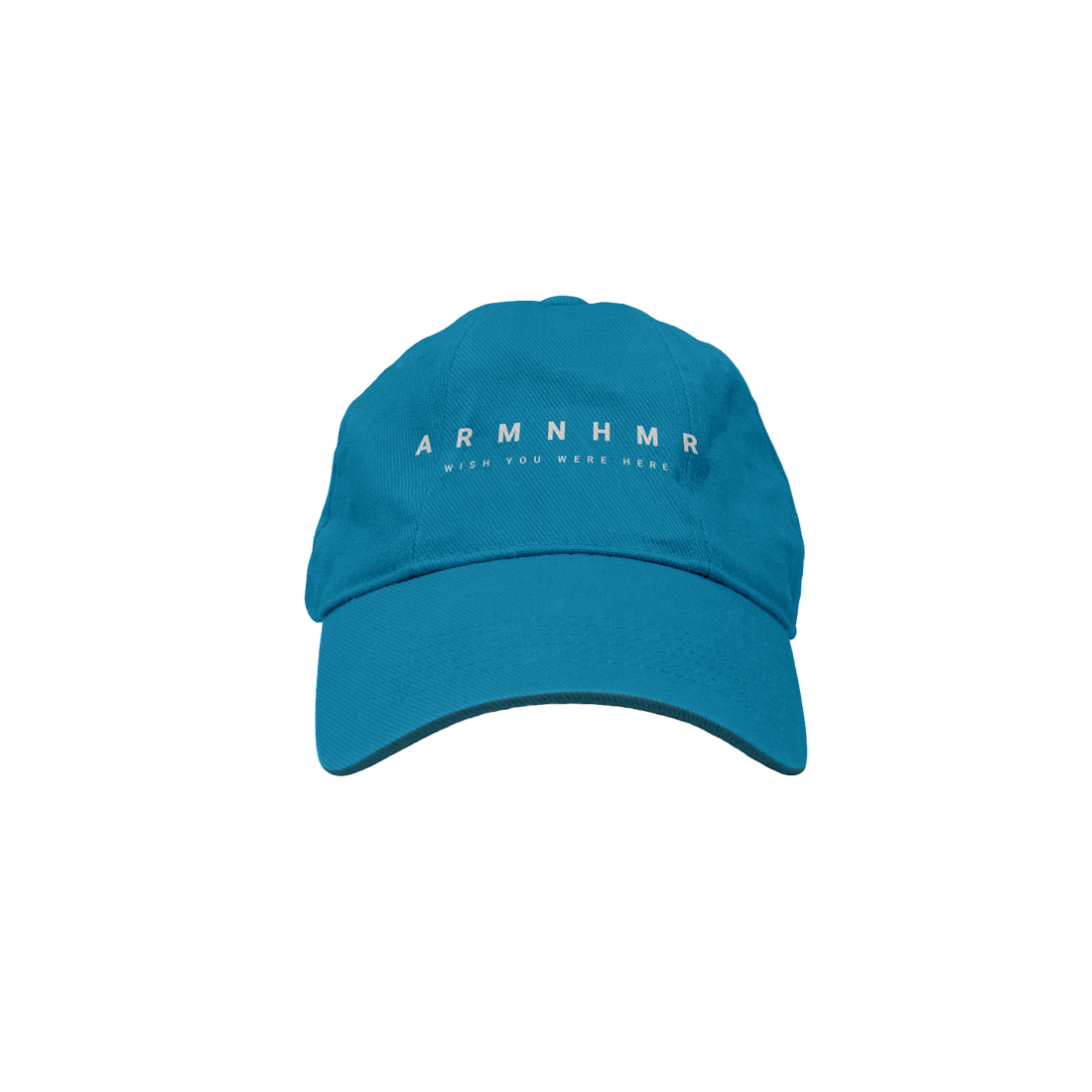 ARMNHMR - WYWH Teal Hat